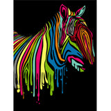 Digital DIY Oil Painting By Numbers