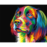 Digital DIY Oil Painting By Numbers