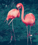 Digital DIY Painting Flamingo