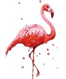 Digital DIY Painting Flamingo