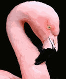 Digital DIY Painting Flamingo